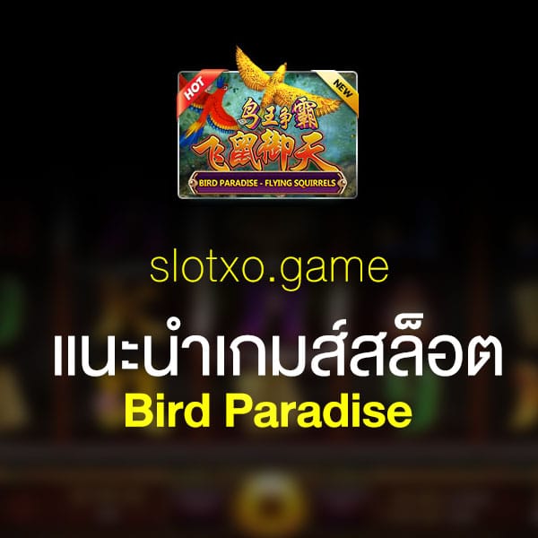 แนะนำ Bird Paradise