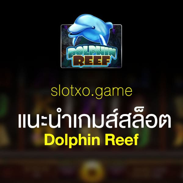 แนะนำ Dolphin Reef