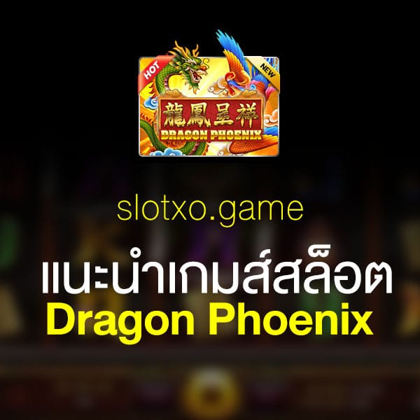 แนะนำ Dragon Phoenix