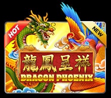  Dragon Phoenix