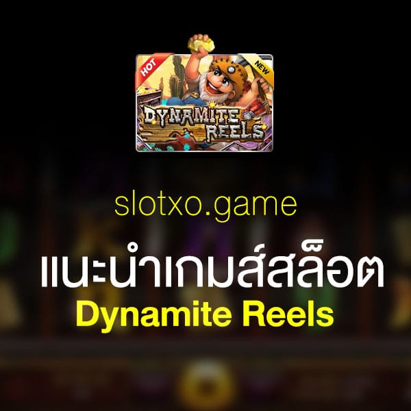 แนะนำ Dynamite Reels