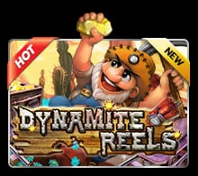  Dynamite Reels