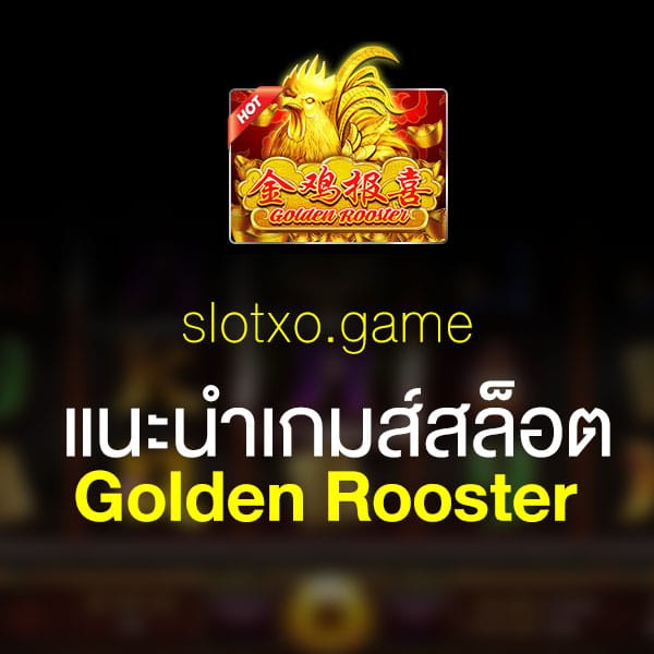 แนะนำ Golden Rooster