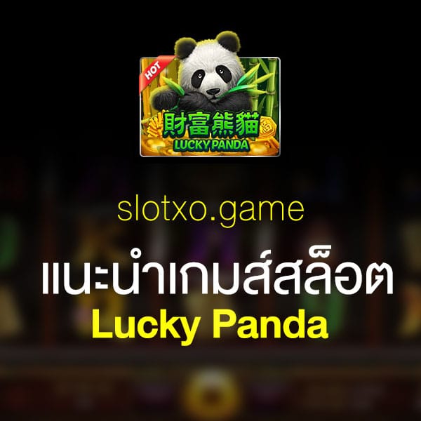 แนะนำ Lucky Panda