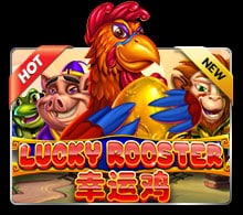 แนะนำ Lucky Rooster
