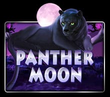 Panther Moon