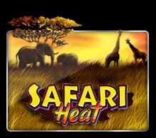 Safari Heat