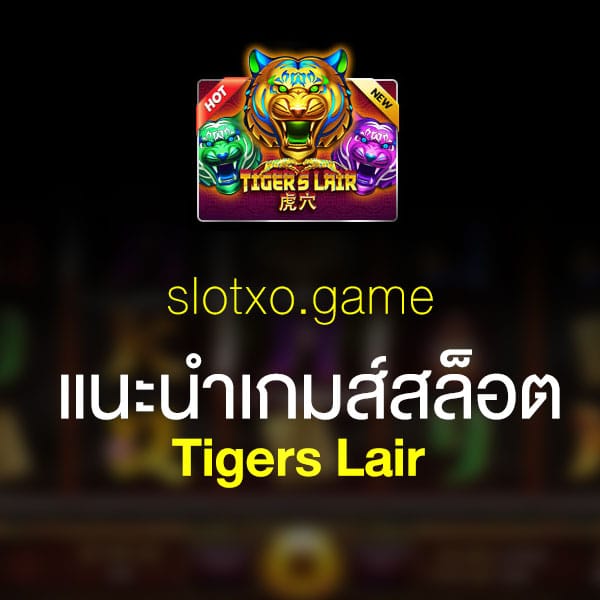 แนะนำ Tigers Lair
