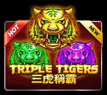 แนะนำ Triple Tigers