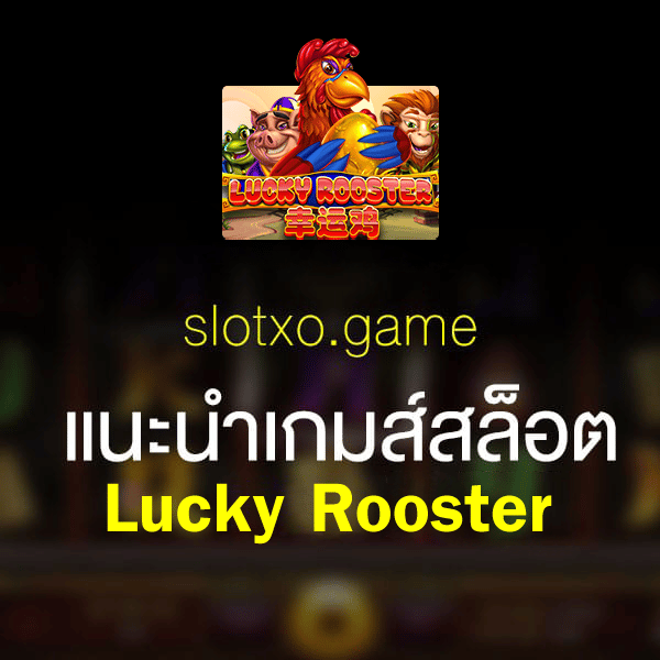 Slotxo Lucky Rooster เกมสล็อตของเหล่าสัตว์นำโชค