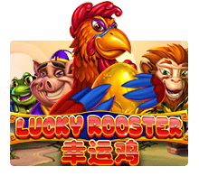 Slotxo Lucky Rooster